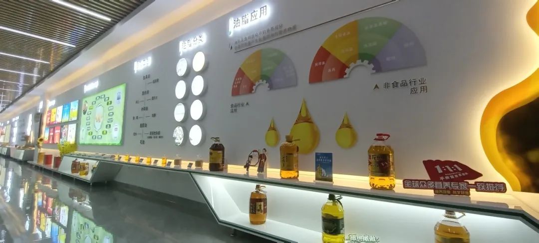 消費者親探益海嘉里金龍魚工廠 開啟安全健康之旅，探尋放心食用油的奧秘